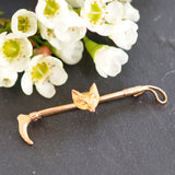 Fox on Whip Stock Pin