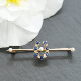 Sapphire & Diamond Horse Shoe Stock Pin