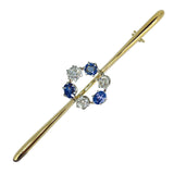Diamond & Sapphire Stock Pin
