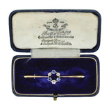 Diamond & Sapphire Stock Pin
