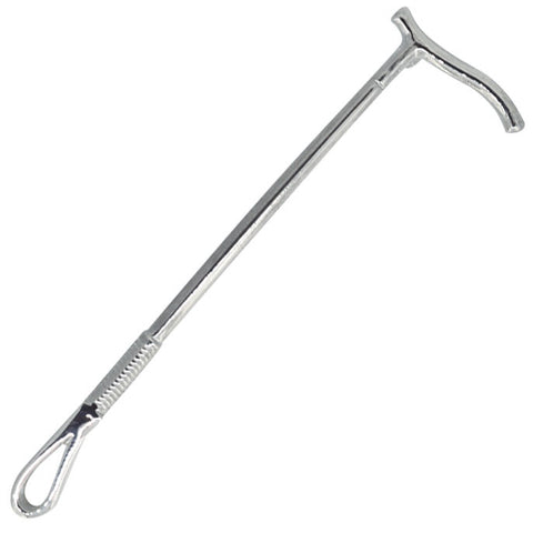 Silver Whip Stock Pin