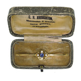 Sapphire & Pearl Stock Pin