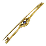 Sapphire & Diamond Stock Pin